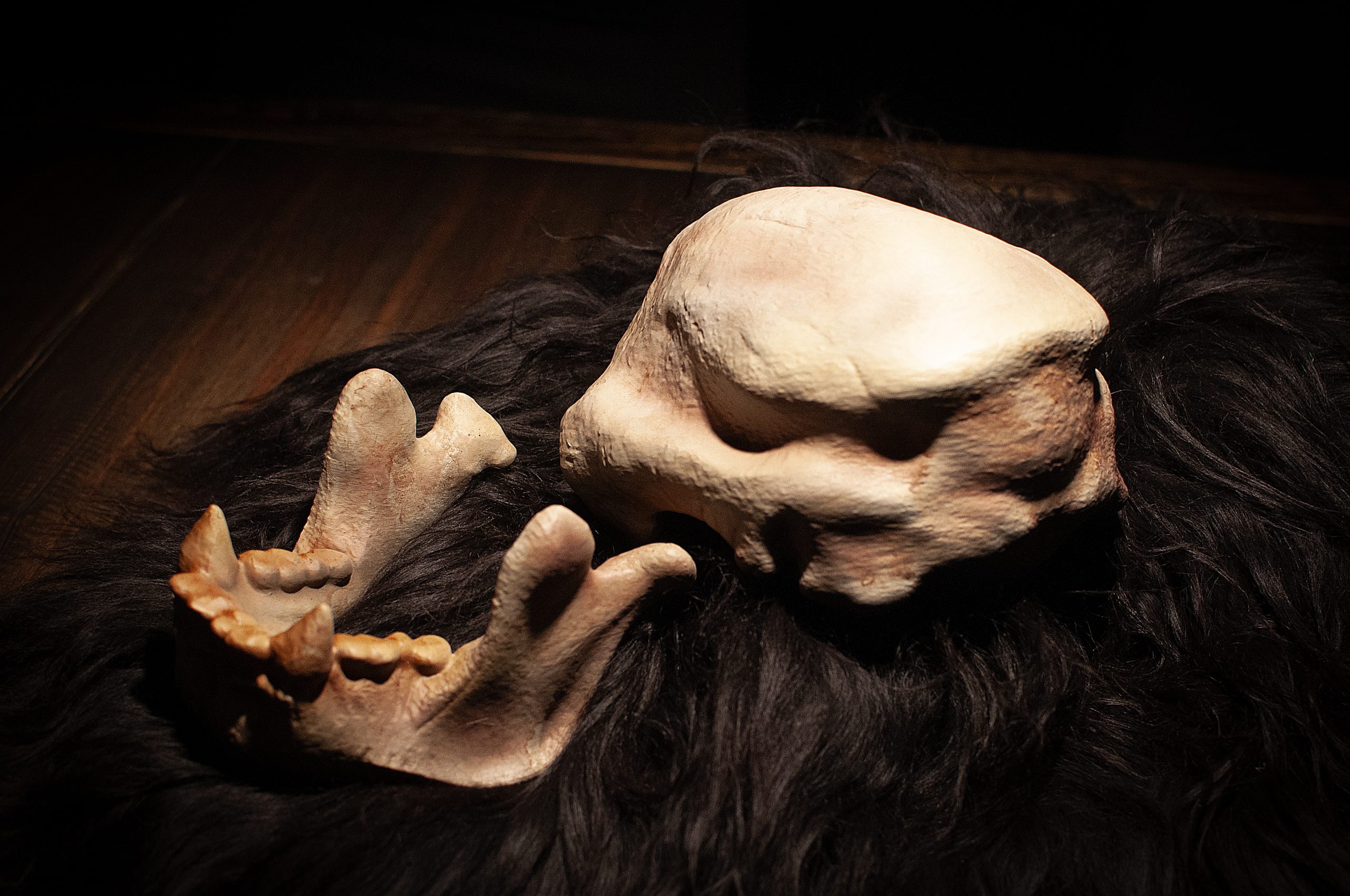 Peikon kallo - Image 3